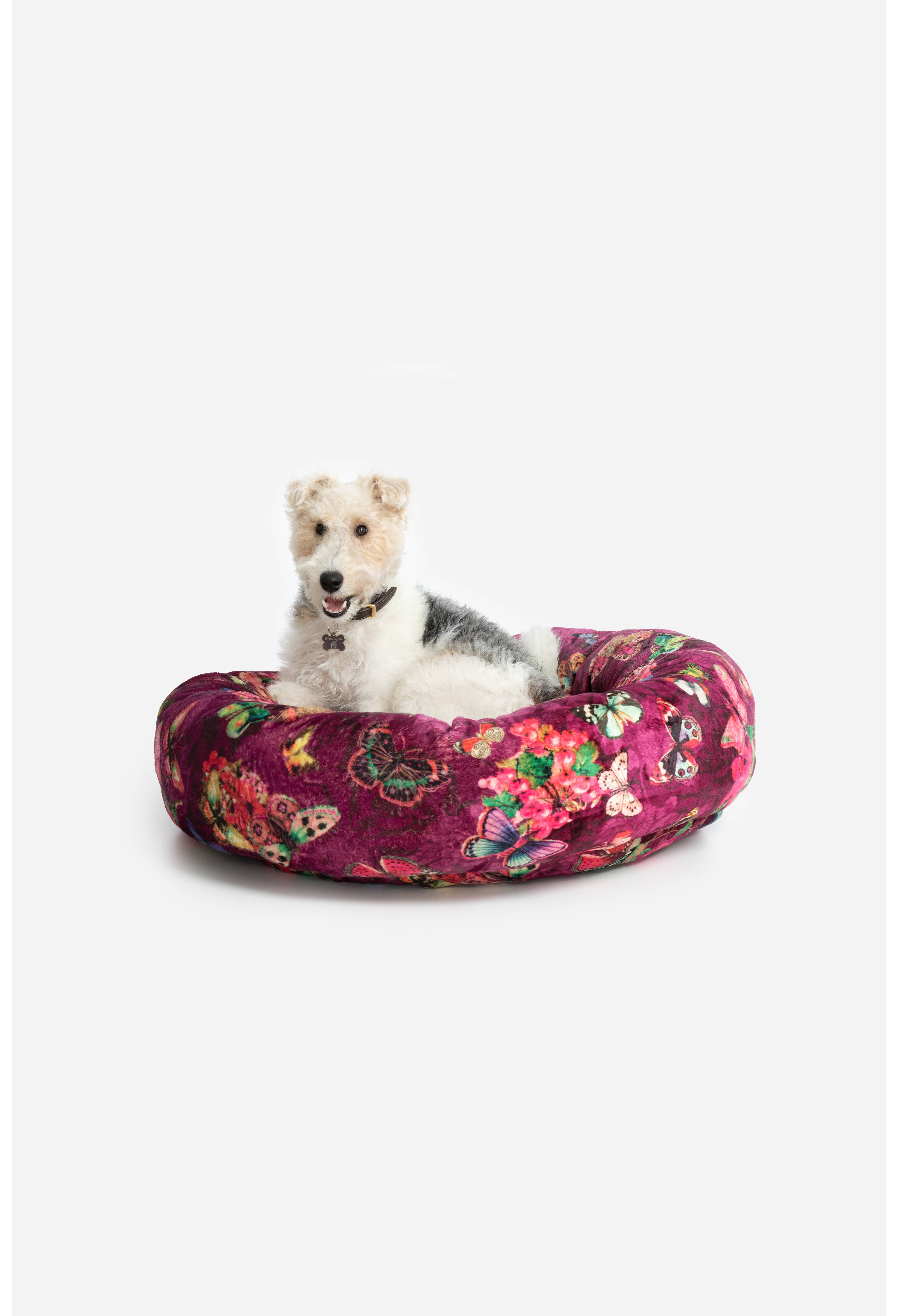 Buy Holly Large Dog Bed