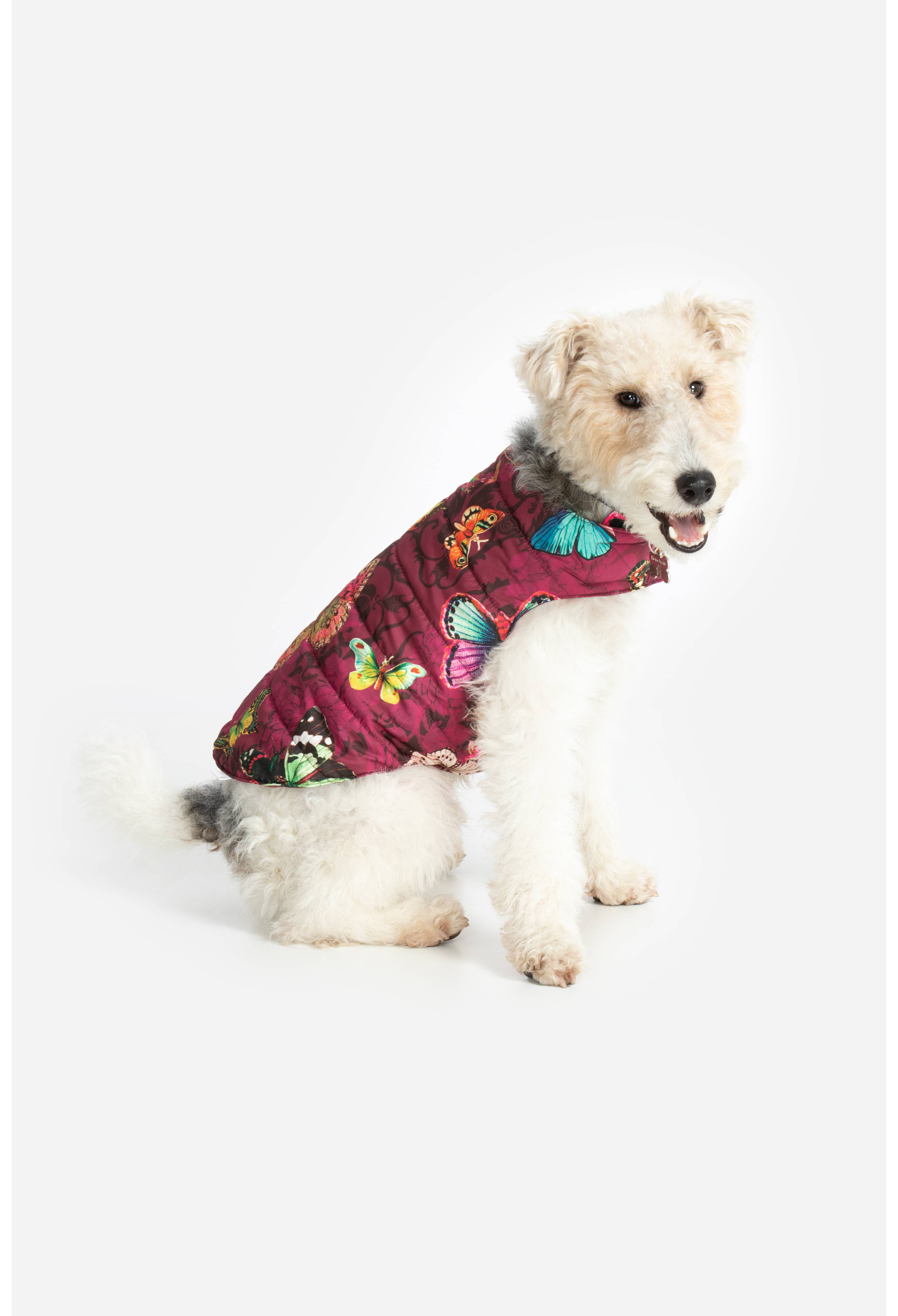 Holly Puffer Dog Jacket, , large image number 1