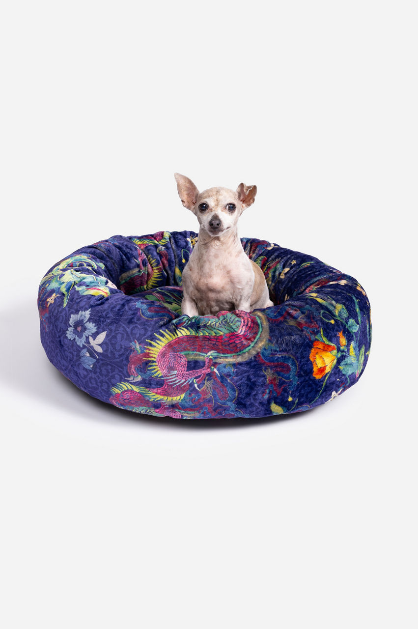 Where can i hotsell buy a dog bed