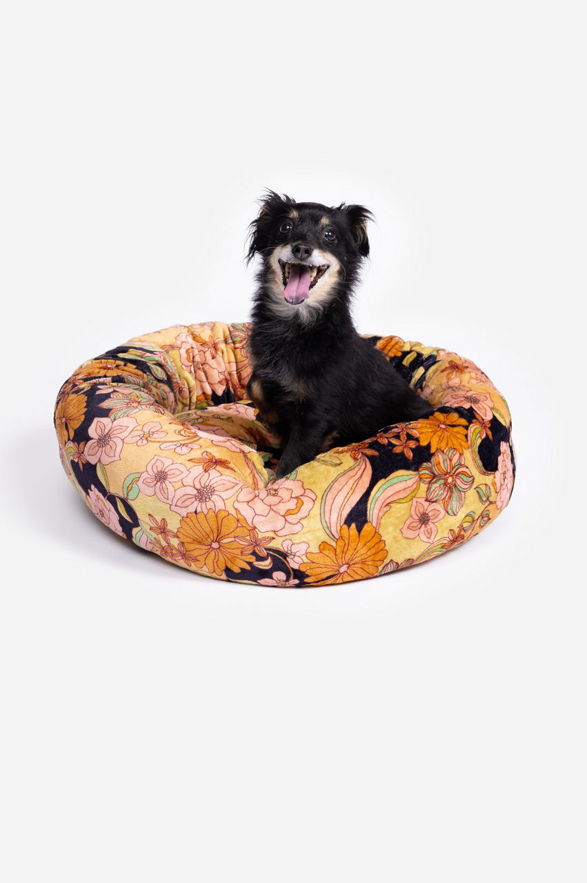 Wonder Years Small Dog Bed