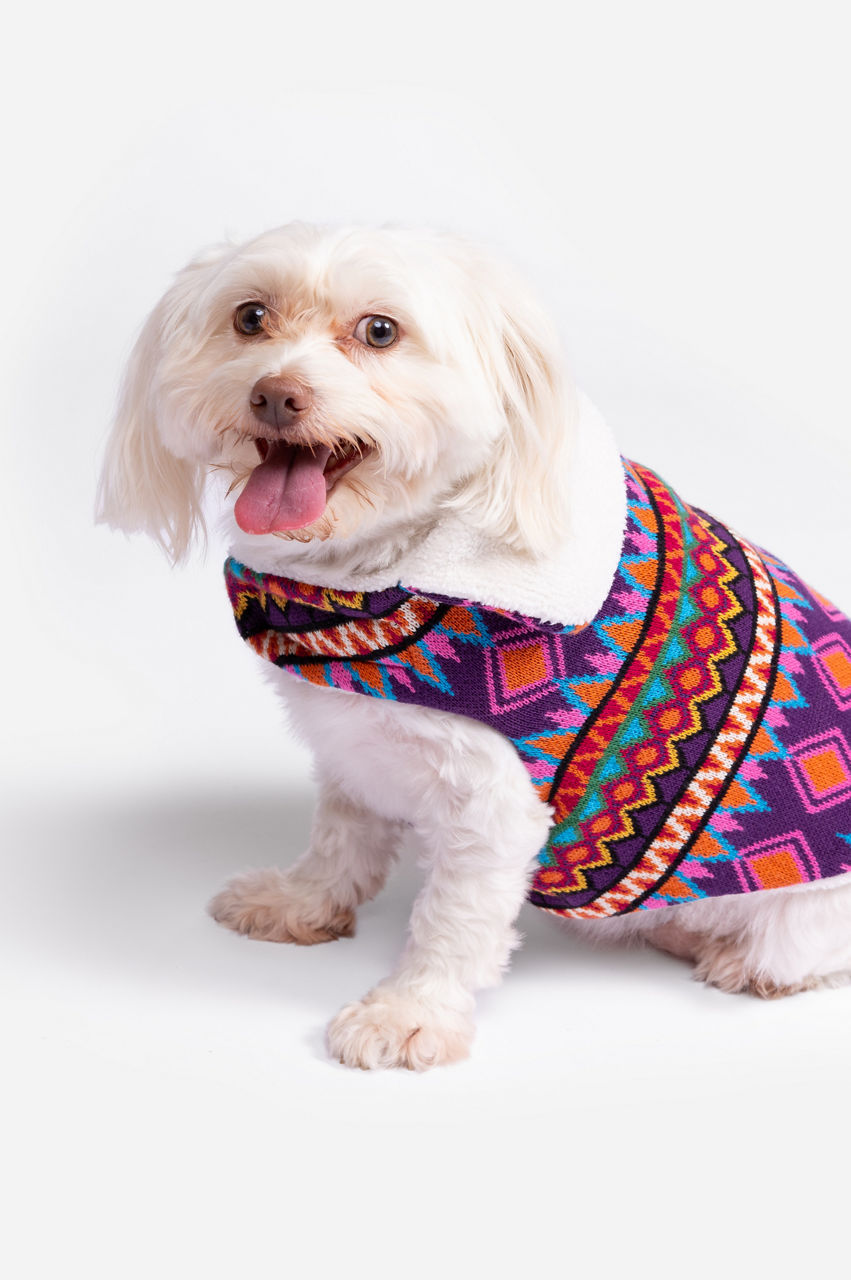 Yuya Reversible Dog Vest