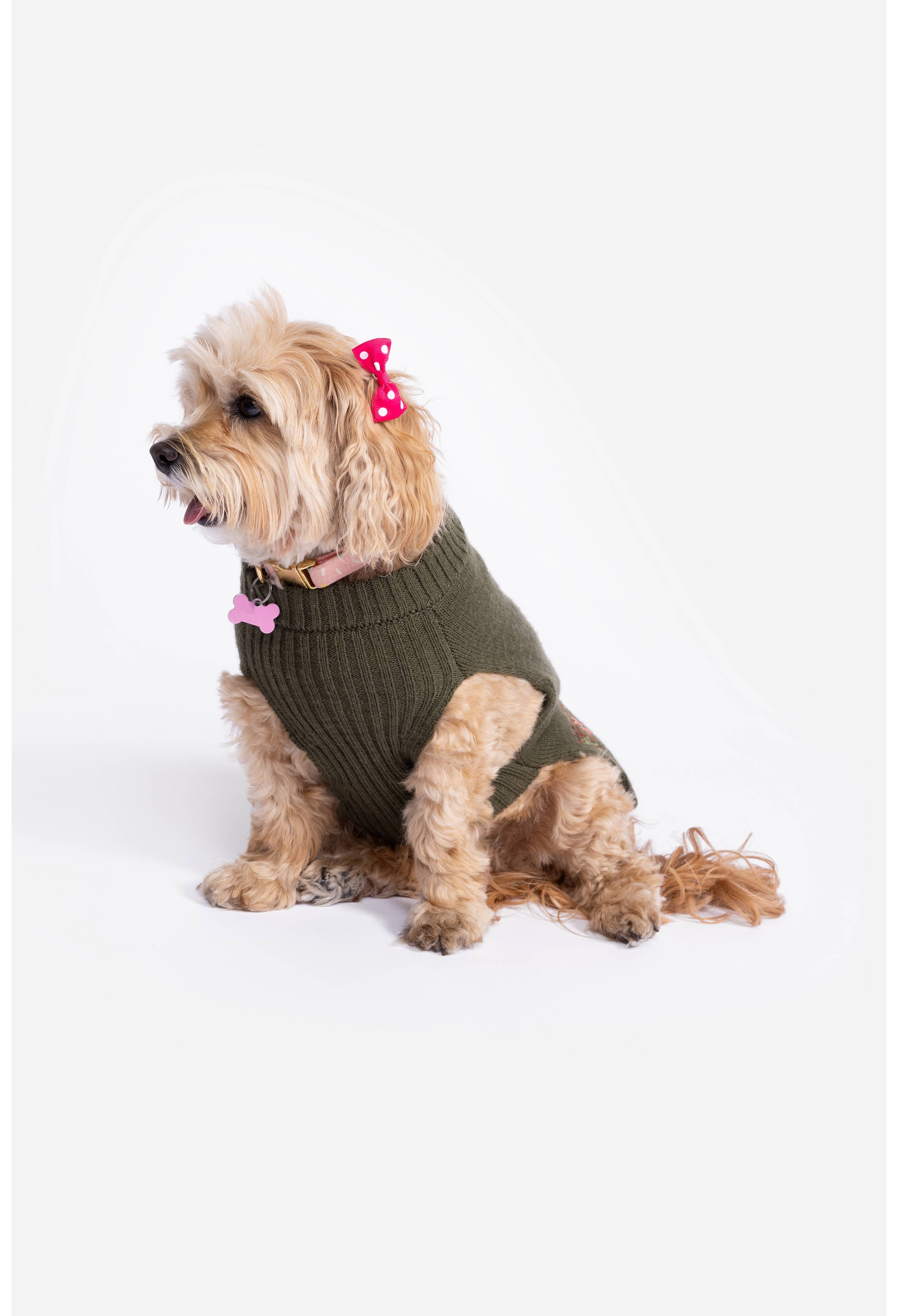 Zuzu Embroidered Dog Sweater, , large image number 1