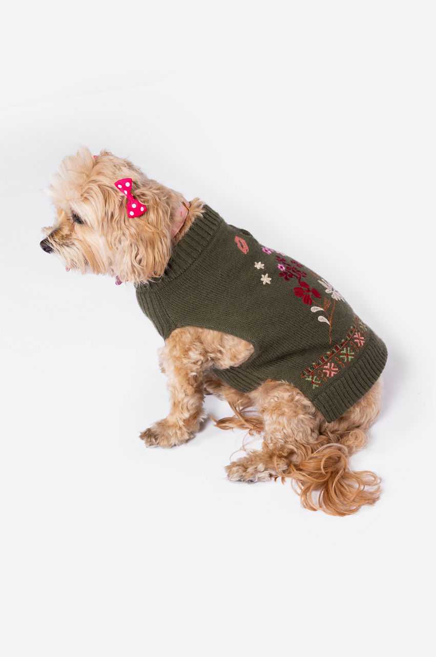 Zuzu Embroidered Dog Sweater