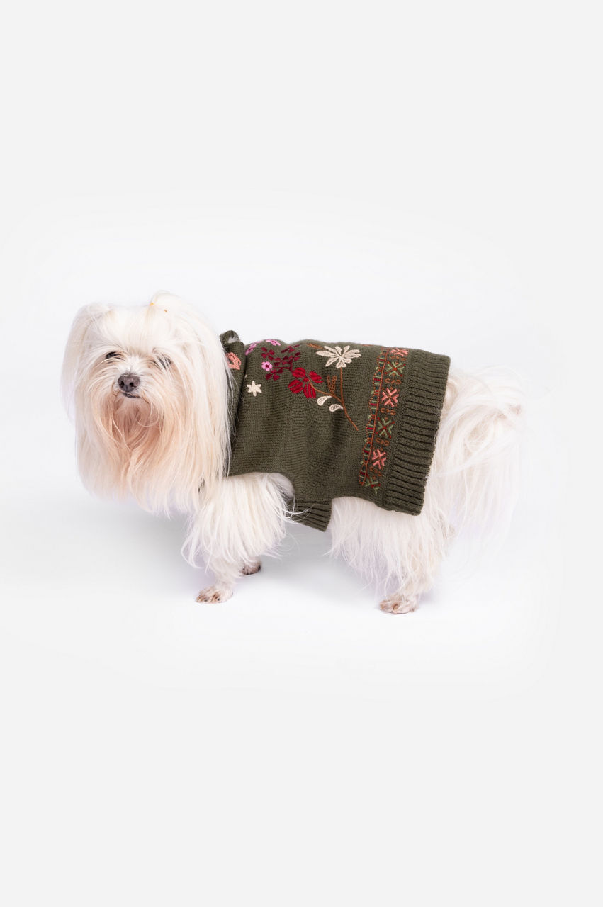 Zuzu Embroidered Dog Sweater